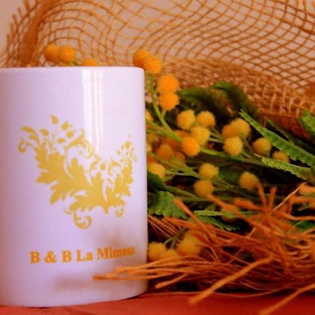 La Mimosa B&B Пула Екстер'єр фото